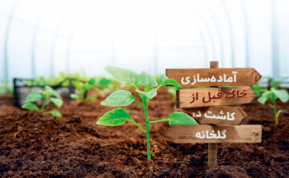 آماده‌سازی خاک قبل از کاشت در گلخانه

