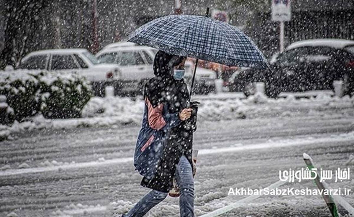 بارش اخیر نسبت به ۵۰ سال گذشته افزایشی بود
