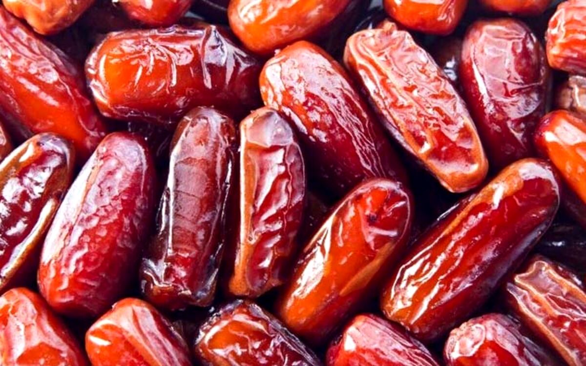 خرمای کبکاب؛ گنجی که نباید ارزان فروخته شود