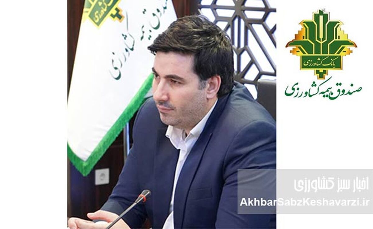 آغاز پرداخت غرامت گندمکاران با واریز ۱۱۰۰ میلیارد تومان | حمایت دولت از کشاورزان فاقد بیمه