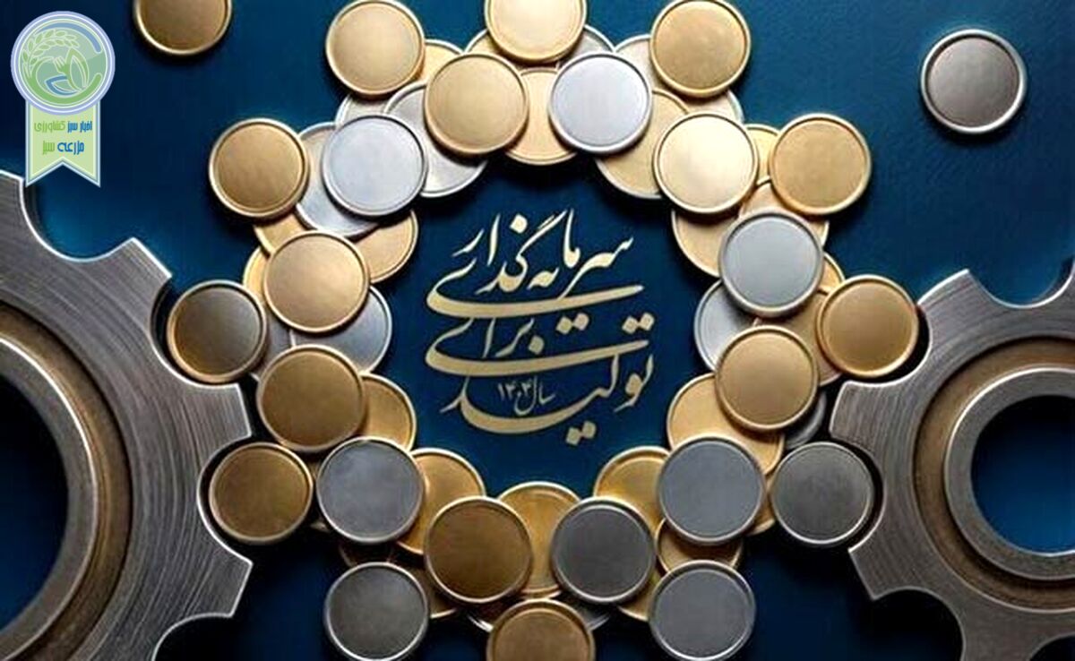 تولید، نیازمند سرمایه‌گذاری آزاد