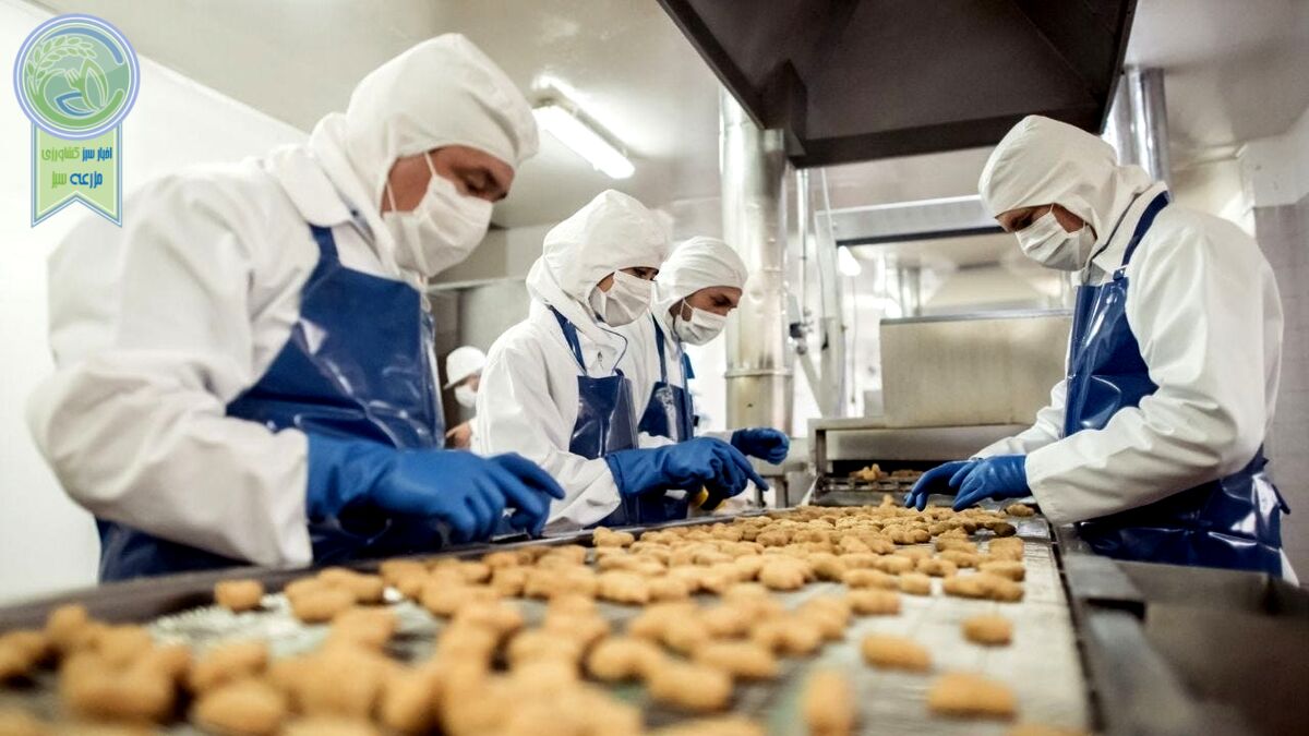 پتانسیل رشد بیشتر فرآوری مواد غذایی 