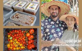 زوجی جوان با دریایی از عشق به تولید: الگویی برای مهاجرت معکوس و خودکفایی در قلب مازندران+ ویدئو
