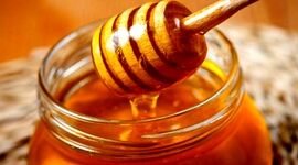 آیا عسل فاسد می‌شود؟/ عسل را با چای داغ بخوریم یا نه؟