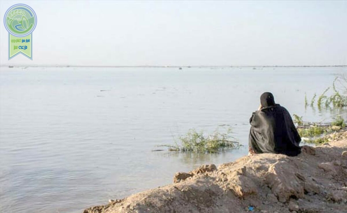 بازگشت به زنان در مدیریت پایدار آب

