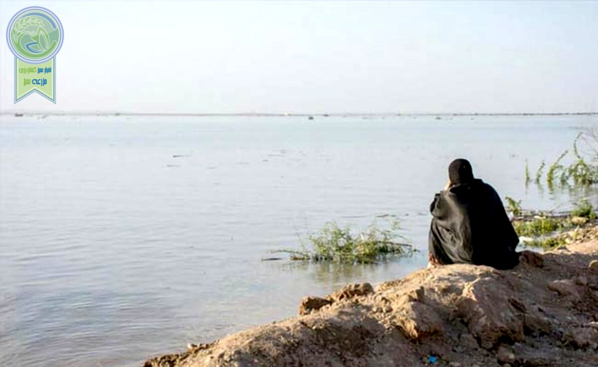 بازگشت به زنان در مدیریت پایدار آب

