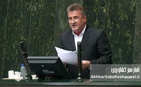 فاجعه در صنعت مرغداری؛ جوجه‌ها قربانی کمبود نهاده شدند