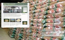 وزارت جهاد کشاورزی همچنان دلار ۲۸ هزار و ۵۰۰ تومانی تخصیص می‌دهد؛ توزیع مجدد رانت توسط «سه‌نون»