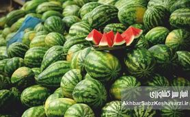 امکان خرید با کمترین قیمت از بازار‌ها و میادین میوه و تره بار