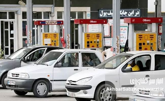 غول حلقه‌به‌گوش دولت
