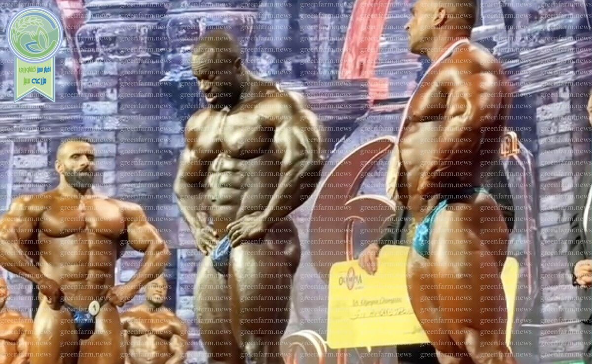 واکنش جالب هادی چوپان در لحظه اعلام اسم نفر اول مستر المپیا ۲۰۲۴+ ویدئو

