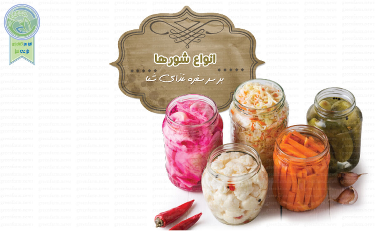 انواع شورها بر سر سفره غذای شما


