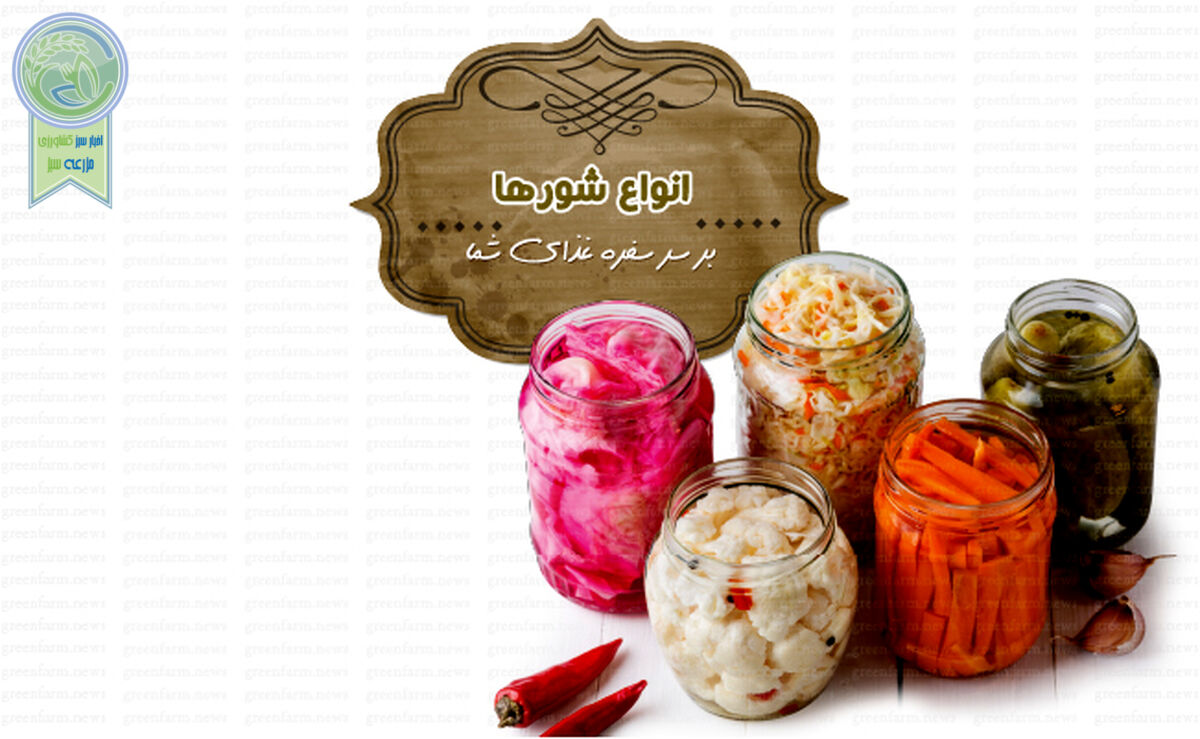 انواع شورها بر سر سفره غذای شما

