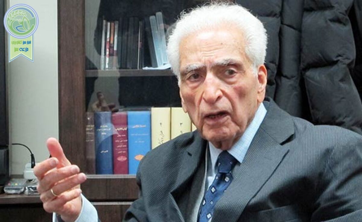 اسلامی‌ندوشن، بزرگ‌مرد خطه ادب و فرهنگ ایران

