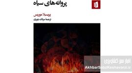 پروانه‌های سیاه؛ وقتی ادبیات، جنگ را از زاویه زندگی روایت می‌کند+جزئیات