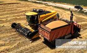 آخرین وضعیت خرید تضمینی گندم
