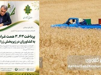 پرداخت ۳.۴۳ همت غرامت بیمه کشاورزی به زراعت‌کاران
