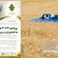 پرداخت ۳.۴۳ همت غرامت بیمه کشاورزی به زراعت‌کاران
