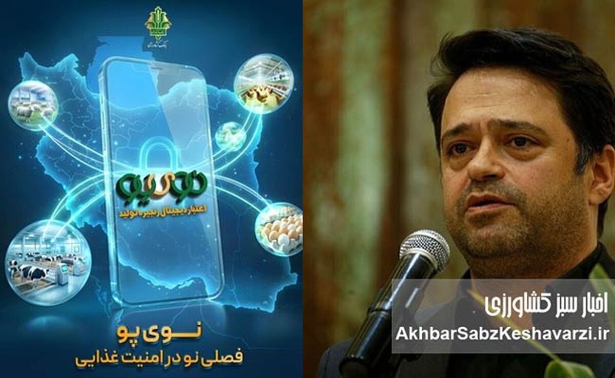«نوی پو» بانک کشاورزی؛ ابزار جدید حمایت از تولید مرغ