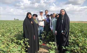 کشاورزی حفاظتی راهی مطمئن برای محافظت از خاک+ ویدئو

