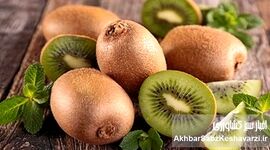 ۵ میوه مفید برای سلامت روده؛ از سیب تا کیوی چه بخوریم؟