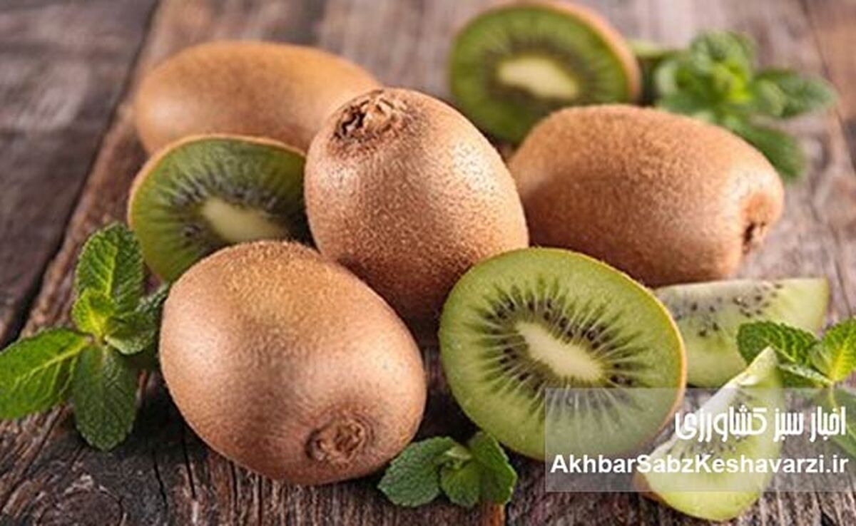 ۵ میوه مفید برای سلامت روده؛ از سیب تا کیوی چه بخوریم؟