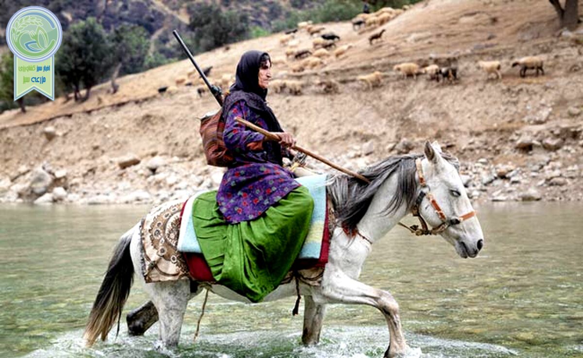 ​جادوی زاگرس و روایت اشک‌ها و لبخندها

