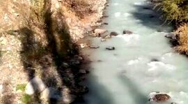 نشت آلودگی به رودخانه کرج+ ویدئو 
