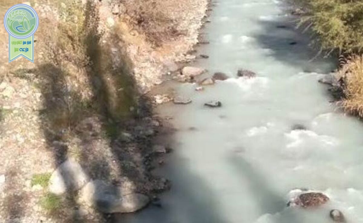 نشت آلودگی به رودخانه کرج+ ویدئو 
