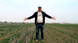 کشاورزی بدون خاک‌ورزی در دل گلستان+ ویدئو و عکس
