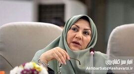 شهرزاد مشیری از معاونت توسعه بازرگانی وزارت جهاد کشاورزی قهر کرد و رفت