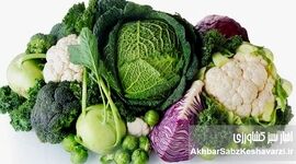 چربی شکمی با این سبزیجات معجزه‌آسا آب می‌شود | راهنمای جامع تغذیه