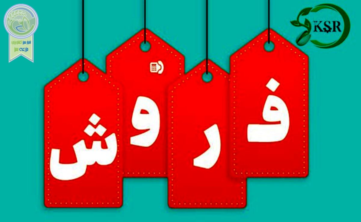 کیمیای سبز رفسنجان، تولیدکننده برتر کود سولفات آمونیوم+ جزئیات خرید و مصرف