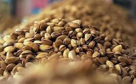خودروسازان، آجیل و خشکبار را ۲۰ درصد گران کردند+ ویدئو