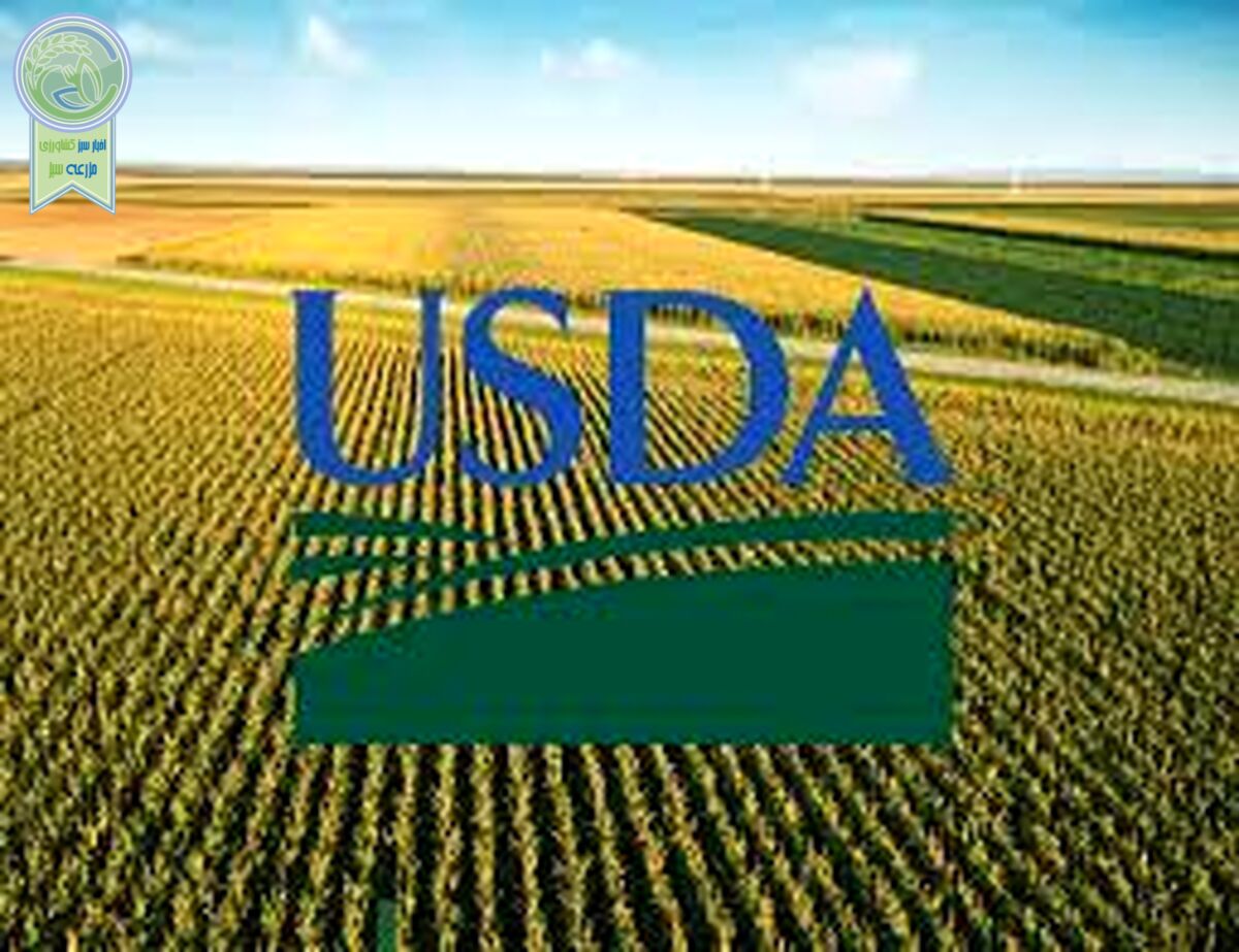 وزیر جدید USDA: کشاورزان می توانند 31 میلیارد دلار کمک دریافت کنند