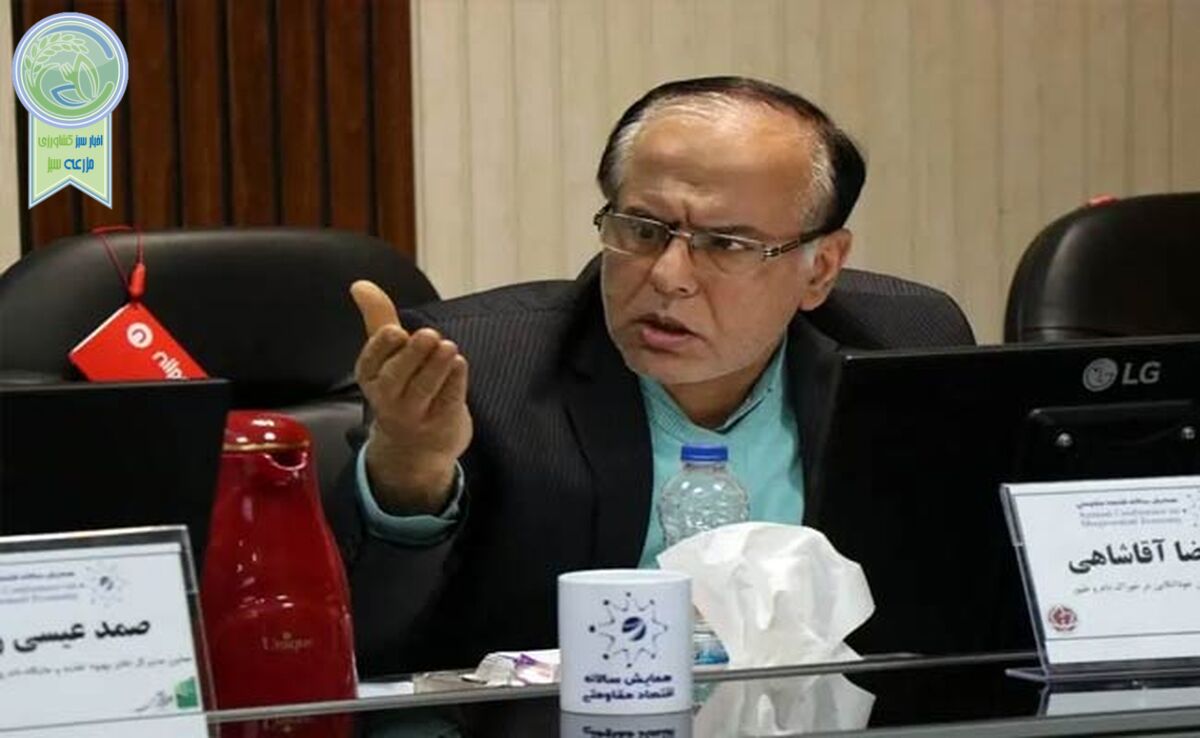 چرا خودروسازی سایپا باید ۱۰ هزار تن ذرت وارد کند؟+ ویدئو

