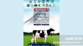 ششمین جشنواره ملی گاو هلشتاین؛ جشنی برای صنعت دامپروری ایران!