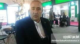 معاون بازرگانی کیمیا اکسیر شرق: حذف ارز ترجیحی به نفع تولید داخلی تمام شد+ ویدئو