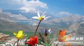 تب صعود به دماوند؛ از رویای فتح تا تراژدی!