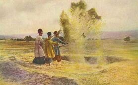 تاریخ کشاورزی و جای خالی آن


