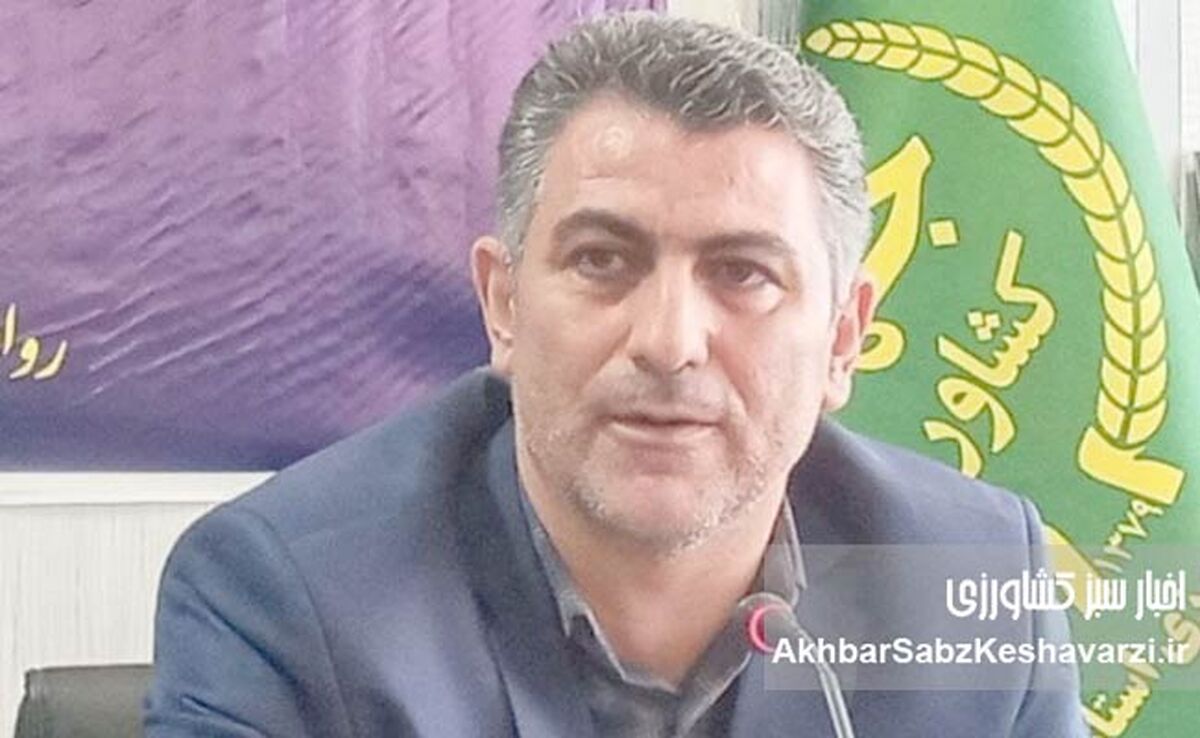 هوشنگ محمدی: رضایت مردم؛ مهم‌ترین دستاورد در دوران سخت