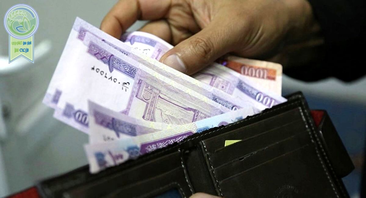 تصویب افزایش ضریب حقوق کارکنان و بازنشستگان دولت در سال ۱۴۰۳+سند