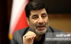 تضمین سفره مردم؛ تداوم حمایت از تولیدکنندگان کشاورزی