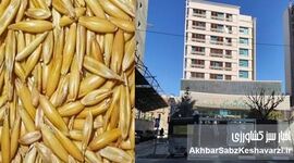 فساد وزارت جهاد را در برگرفته یا وزارت جهاد همه را فاسد کرده است!؟
