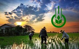 آیا تعاون روستایی قصد «موندراگون» شدن دارد؟
