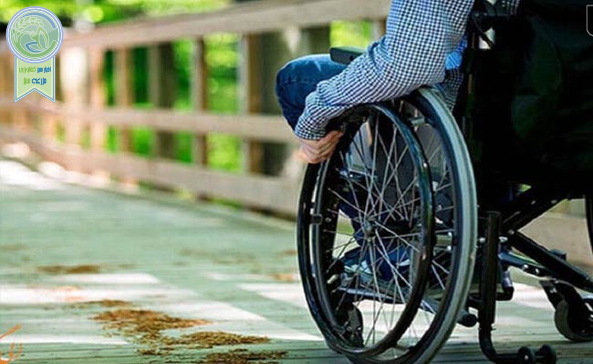 گردشگری برای همه، یا صرفا برای برخی؟

