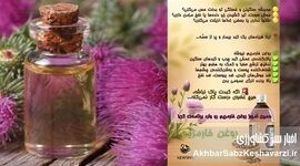 اکسیر جادویی برای کبد شما: روغن خار مریم