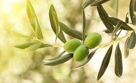 سودآوری و توسعه پایدار با کشت طلای سبز در مزارع ایران+ ویدئو

