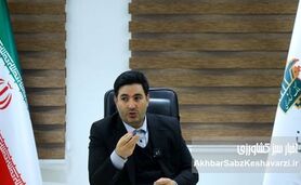 بیمه گندم رایگان شد + افزایش ۱۵۰ درصدی غرامت‌ها