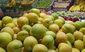 قیمت میوه‌ سر به فلک گذاشت!

